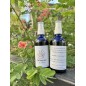 B’Rhum – Macération artisanale au bois d’Inde Made in GUADELOUPE B’Rhum – Macération artisanale au bois d’Inde Made in GUADELOUPE