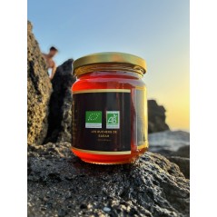 Miel de Gingembre
