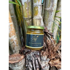 Miel Propo+ (l’élixir renforcé) de la propolis pure.