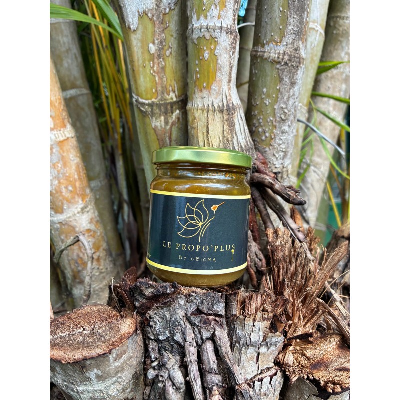 Miel Propo+ (l’élixir renforcé) de la propolis pure.