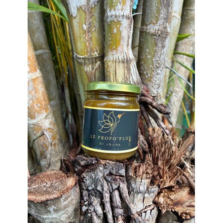 Miel Propo+ (l’élixir renforcé) de la propolis pure.
